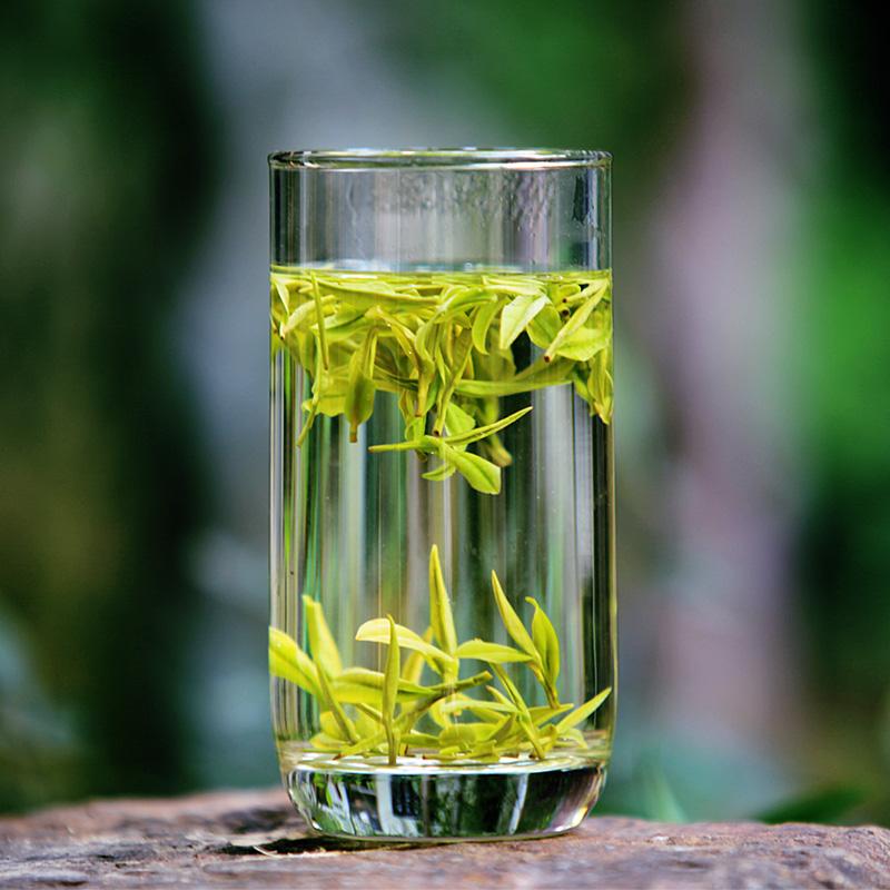 安吉白茶