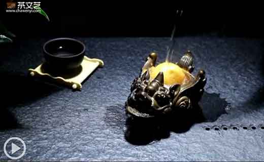 滋养茶宠,其乐无穷